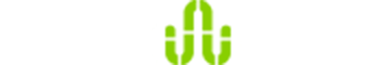 First Pages website